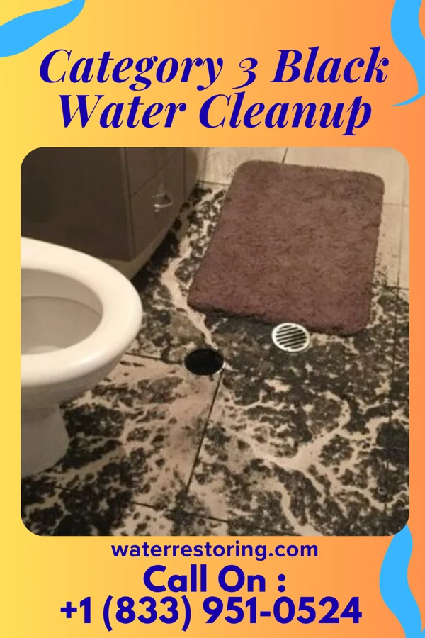 Category 3 Black Water Cleanup in Bloomingburg, NY