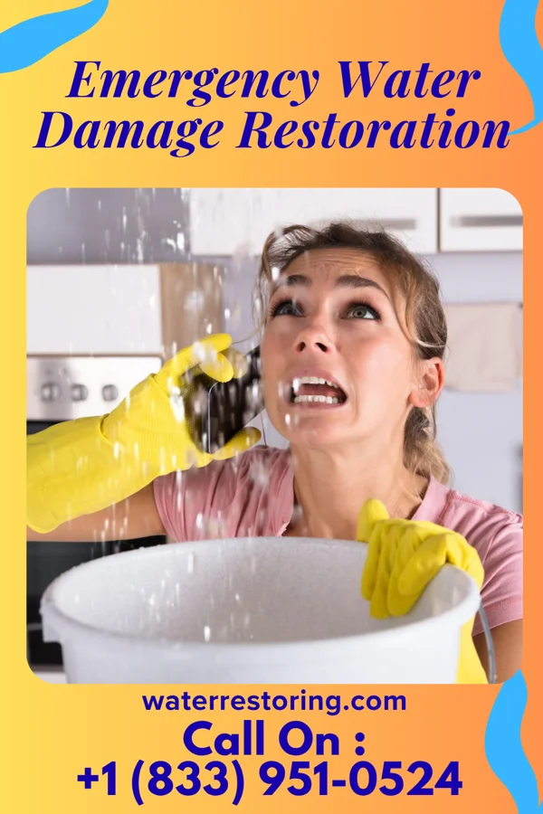 Emergency Water Damage Restoration in Bloomingburg, NY