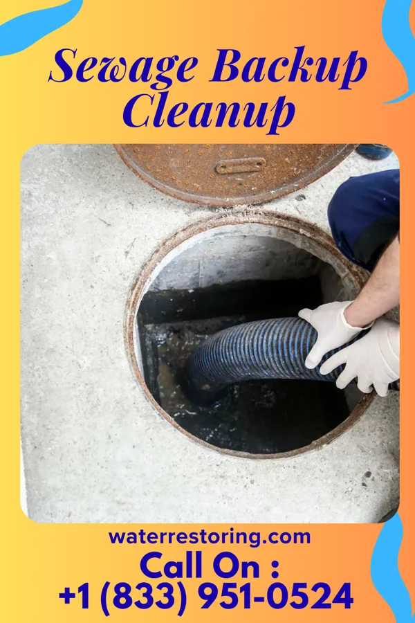 Sewage Backup Cleanup in Bloomingburg, NY