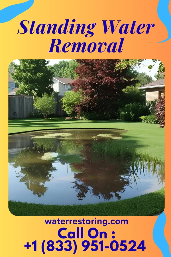 Standing Water Removal in Bloomingburg, NY